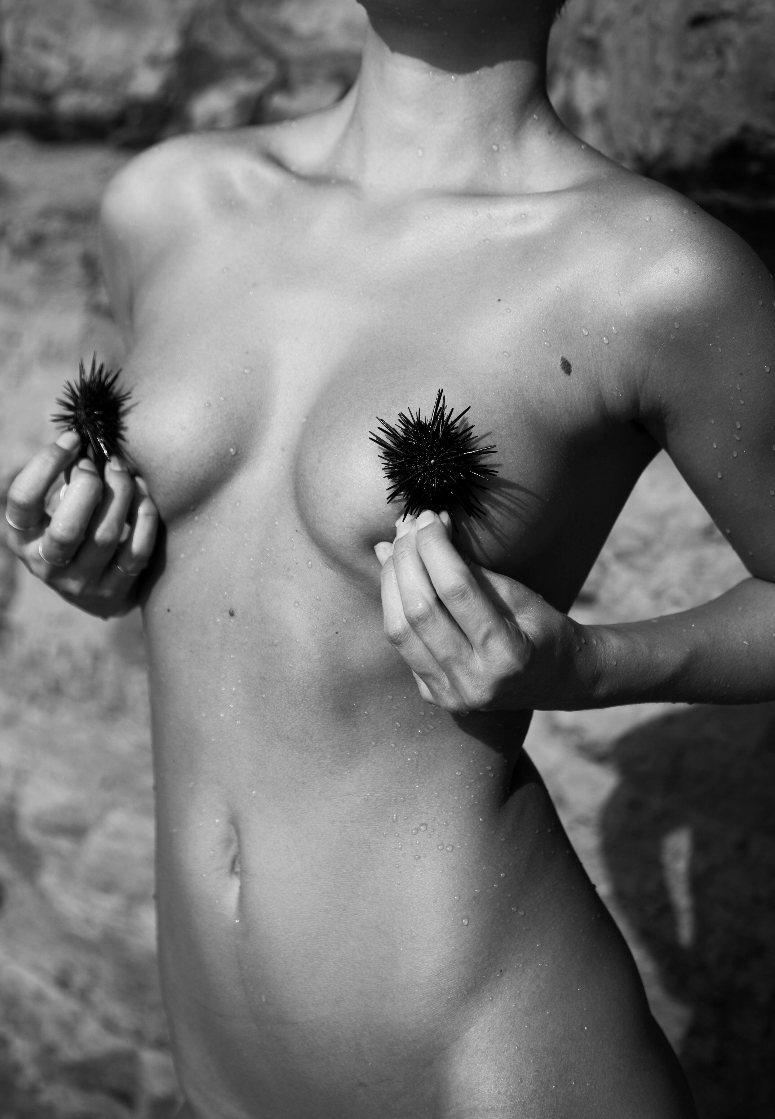 Urchins by Emily Lab