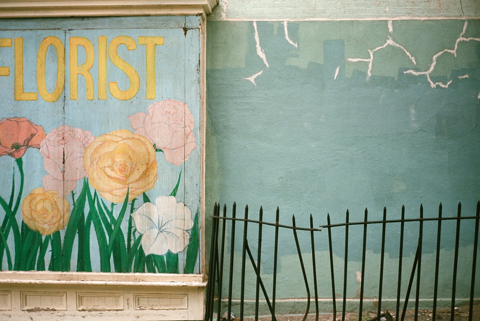 Florist by Dhagpo Lobsang