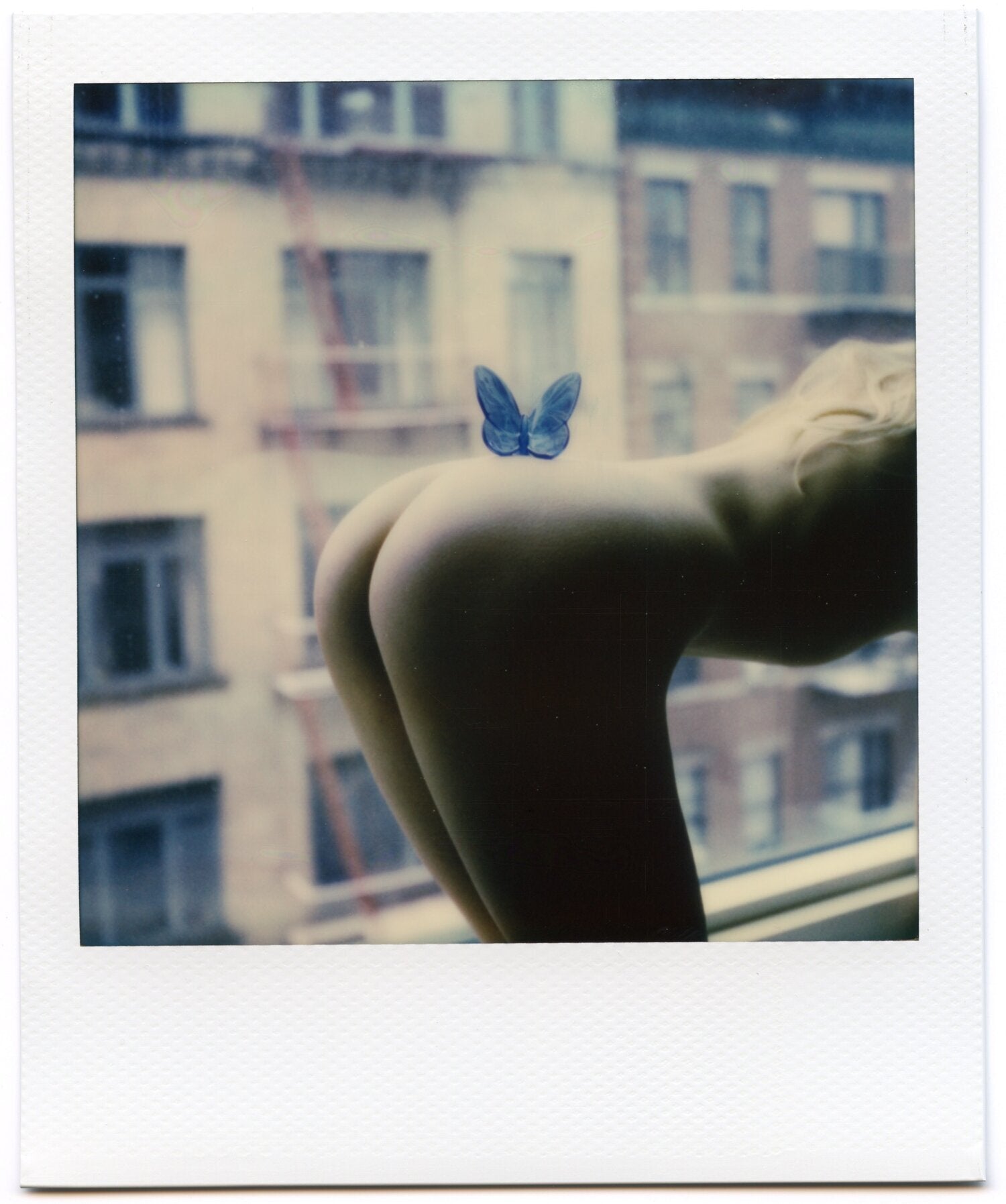 Butterfly by Alex Moore