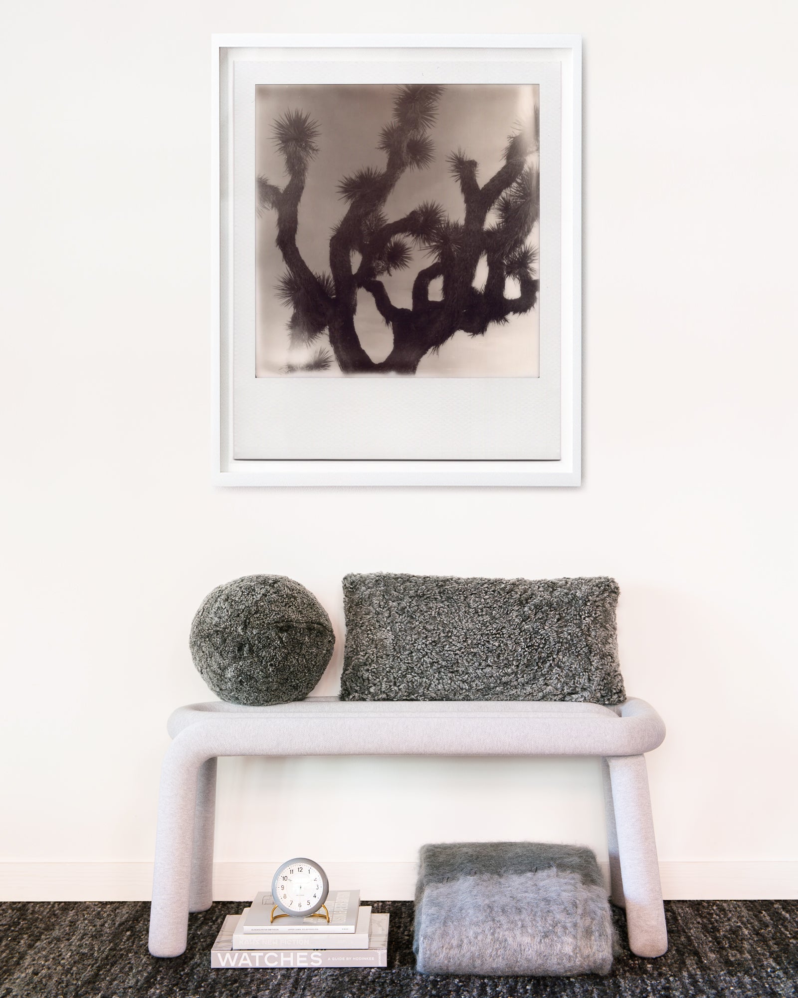 Joshua Tree by Alex Moore