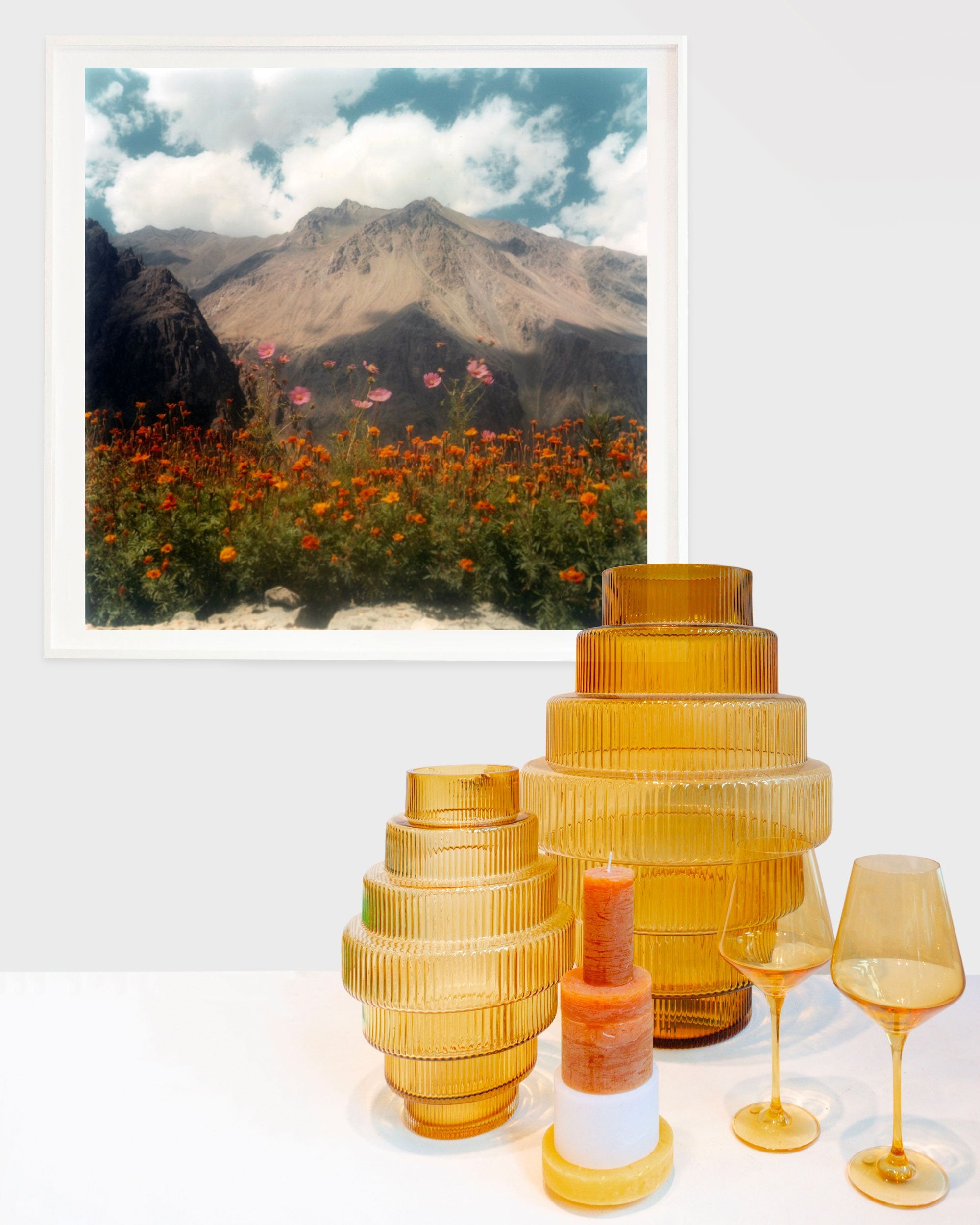 Ladakh Flower by Dhagpo Lobsang