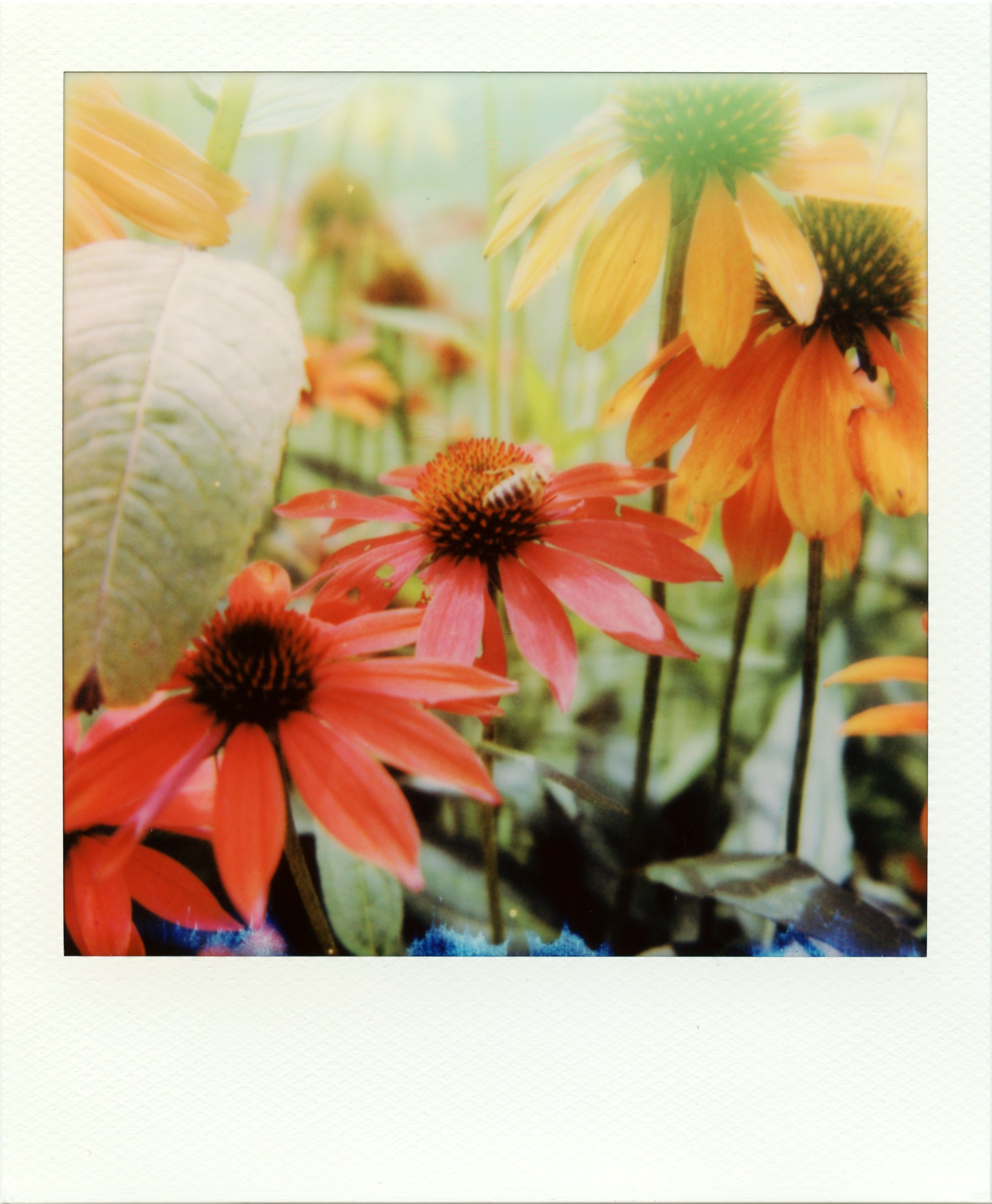 Like Honey by Alex Moore