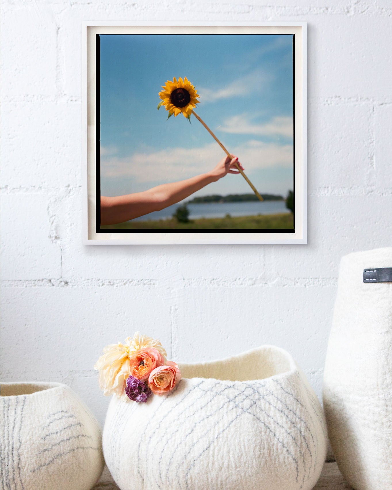 Sunflower by Alex Moore